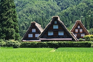 Shirakawago