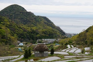 Izu