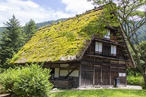 Shirakawago Minkaen