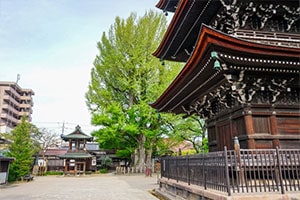 Hida Kokubunji