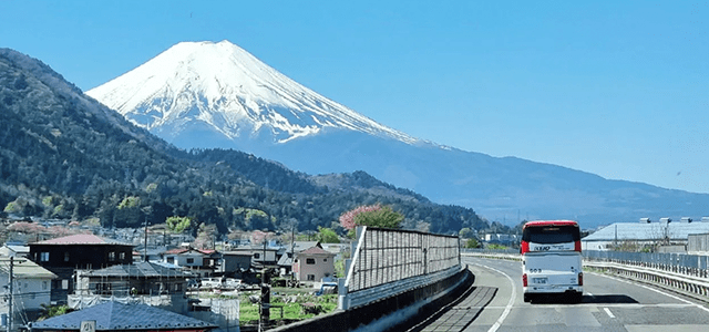 Mt. Fuji & Hakone Day Tour from Tokyo