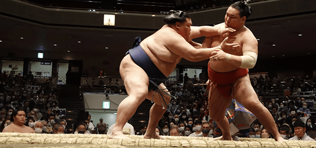 Tokyo Grand Sumo Tournament Viewing Tour