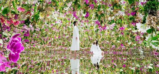 teamLab Planets TOKYO Entrance Tickets