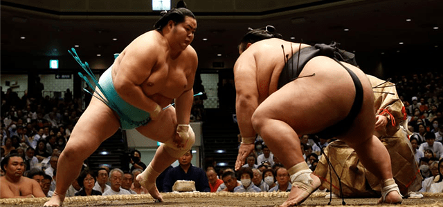 Sumo wrestler Experience and Observing Grand Sumo Tournament