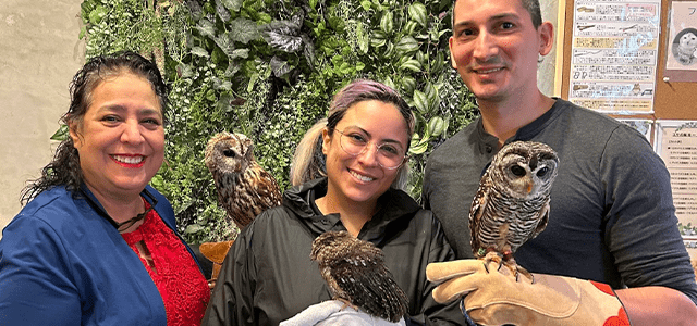 Owl Gallery Tokyo Interactive Gallery Admission