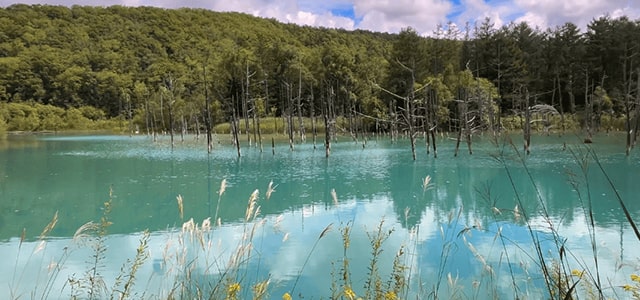 Northern Edge of Hokkaido 2026: Journey to Rishiri & Rebun Islands