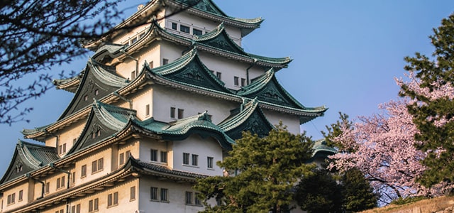 Sakura Feast Tour 2026: Nagoya to Tokyo