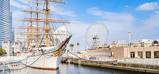 Guided Walking + Private Car Tour