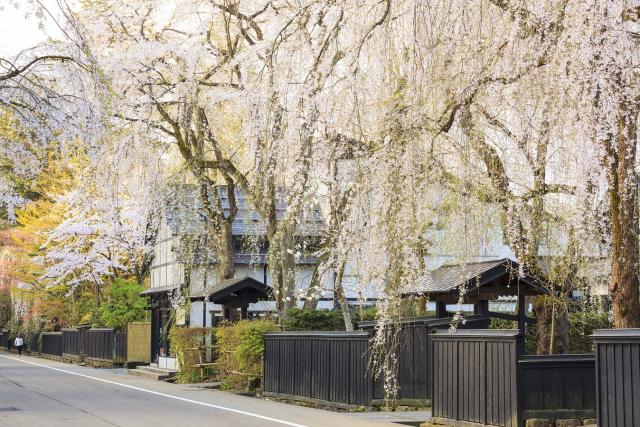 Kakunodate Samurai Village