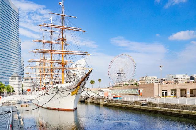 Guided Walking + Private Car Tour  