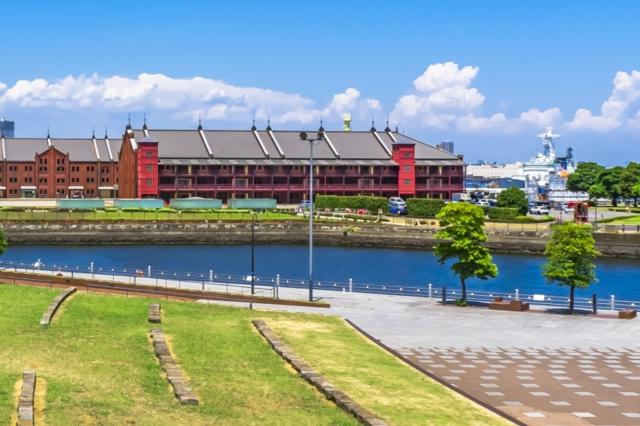 Rickshaw Half-Day Tour