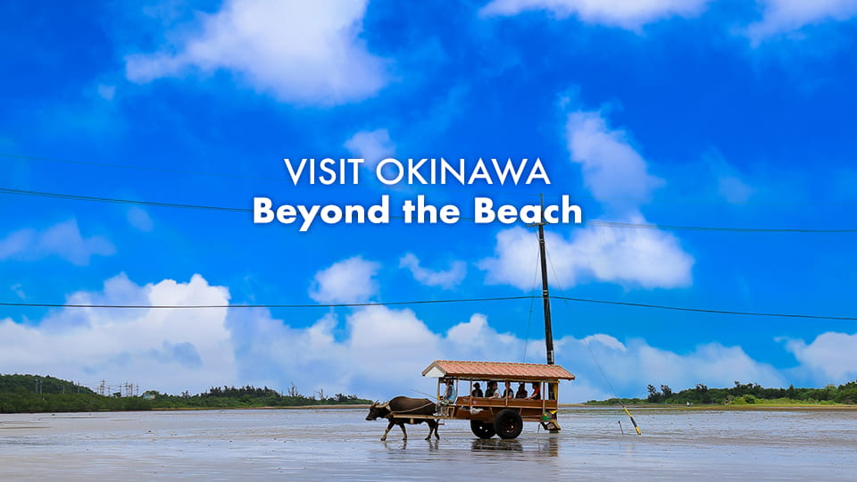 Travel to Okinawa