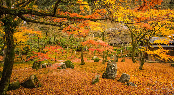 Dazaifu - Japan’s Most Spectacular Views