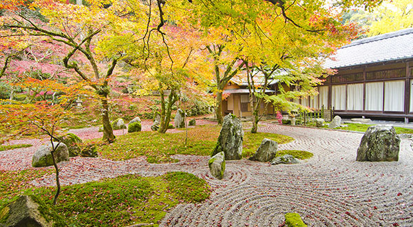 Dazaifu - Japan’s Most Spectacular Views