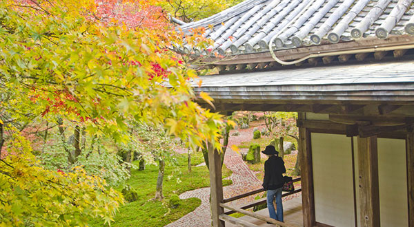 Dazaifu - Japan’s Most Spectacular Views