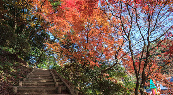 Dazaifu - Japan’s Most Spectacular Views