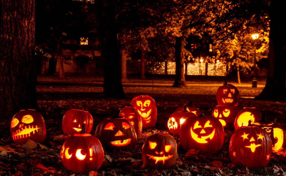 【ハロウィンナイト】魔法と驚愕の旅へ！ハロウィン☆オーランド冒険ツアー