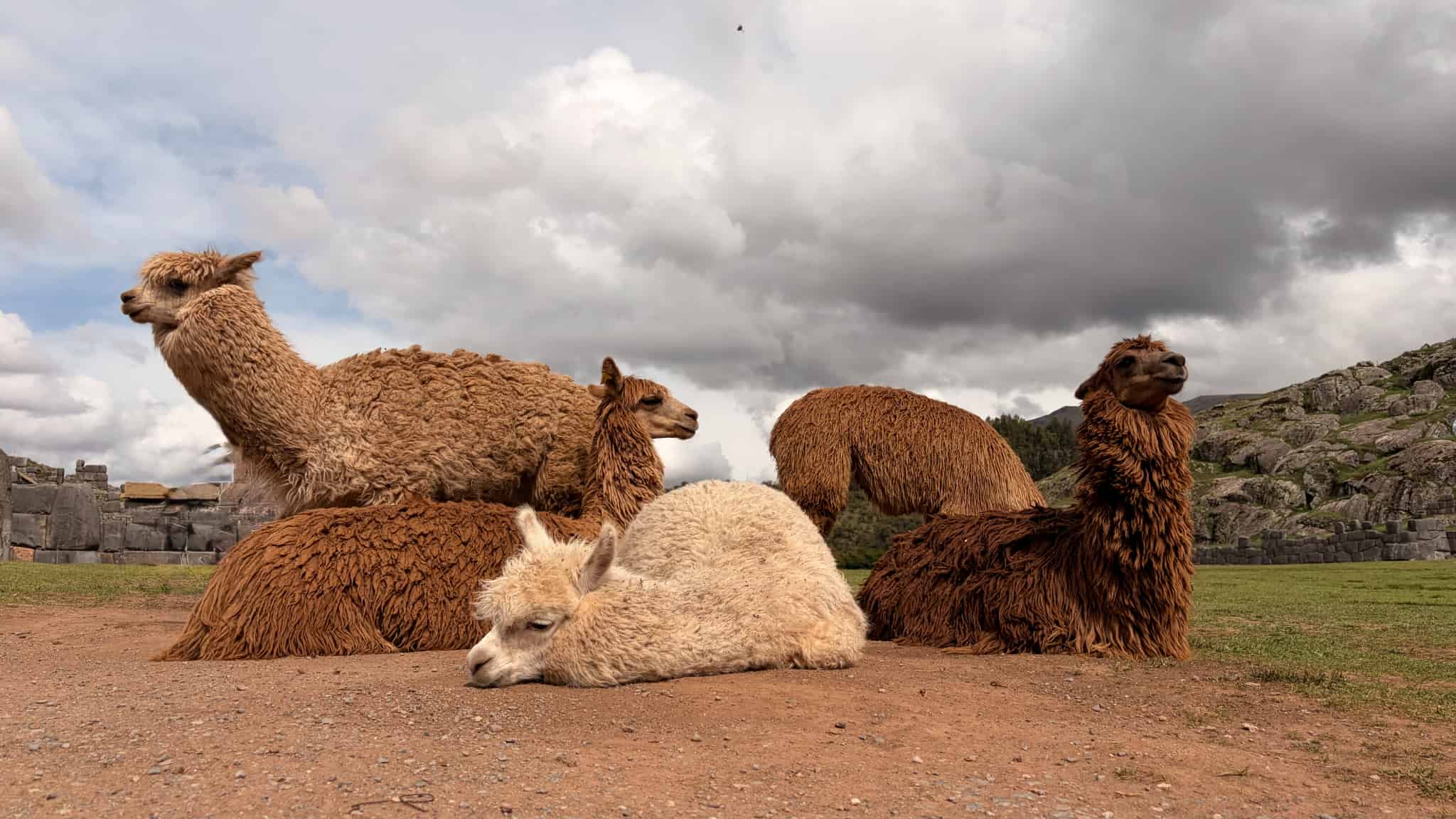 ペルー＆イグアスの滝＆ウユニ塩湖周遊11日間！　～スーペリアクラスホテル～