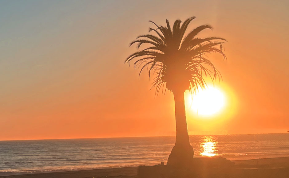 セレブの街 マリブ プライベートツアー | ゲティヴィラ＆ワイナリー観光 9時間＜金曜限定＞