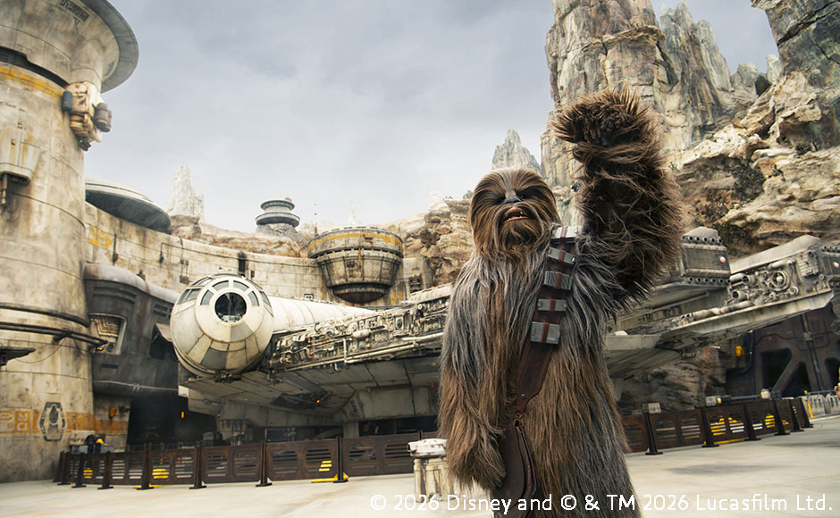 ディズニーランド・リゾート　パークパス　各種 1パークパス  【1日券】