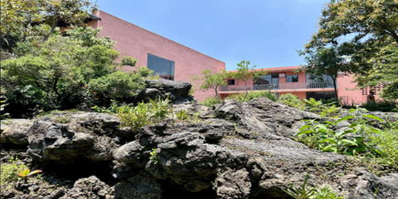 【火曜〜金曜催行】トラルパン礼拝堂、カサ・ペドレガル、メキシコ国立自治大学(日本語ガイド)2名様以上ご参加の場合