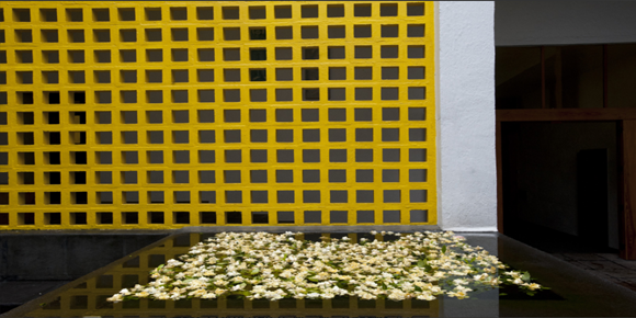 【火曜〜金曜催行】トラルパン礼拝堂、カサ・ペドレガル、メキシコ国立自治大学(日本語ガイド)2名様以上ご参加の場合