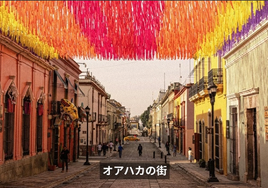 【メキシコシティ発】飛行機で行く、日帰りオアハカ自由行動ツアー!2名様以上参加1名様あたりの料金