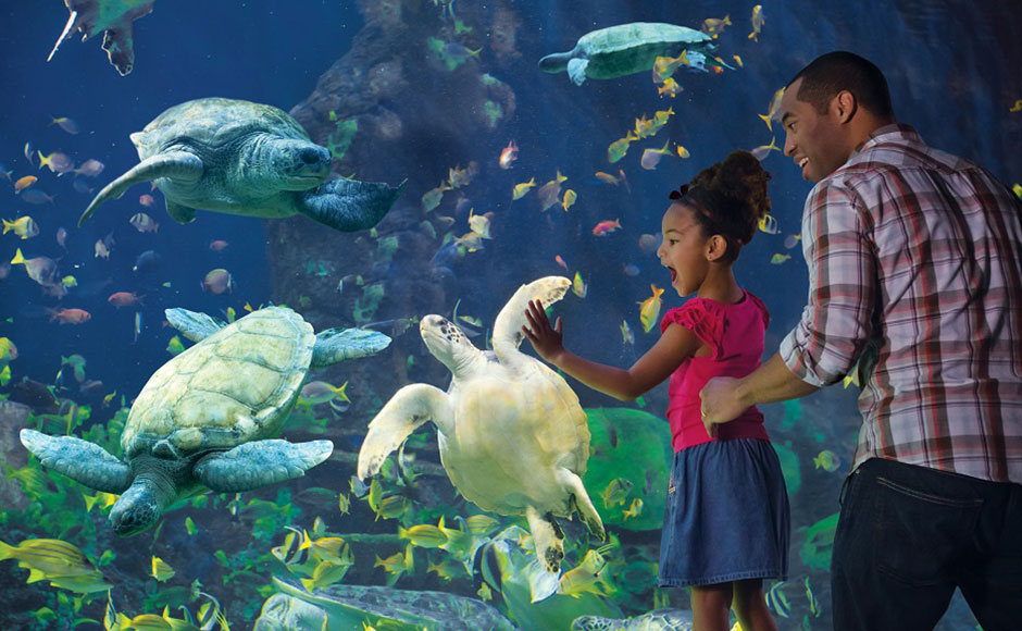 CITY PASS ～サンディエゴ 【シーワールド+3アトラクション】