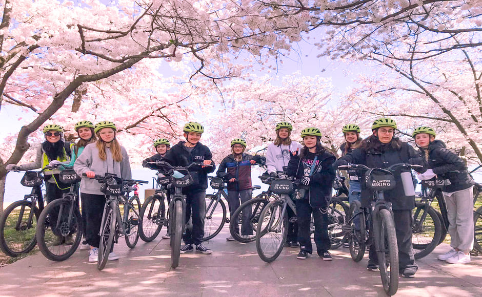 全国桜まつりサイクリングツアー【英語ガイド】10時出発