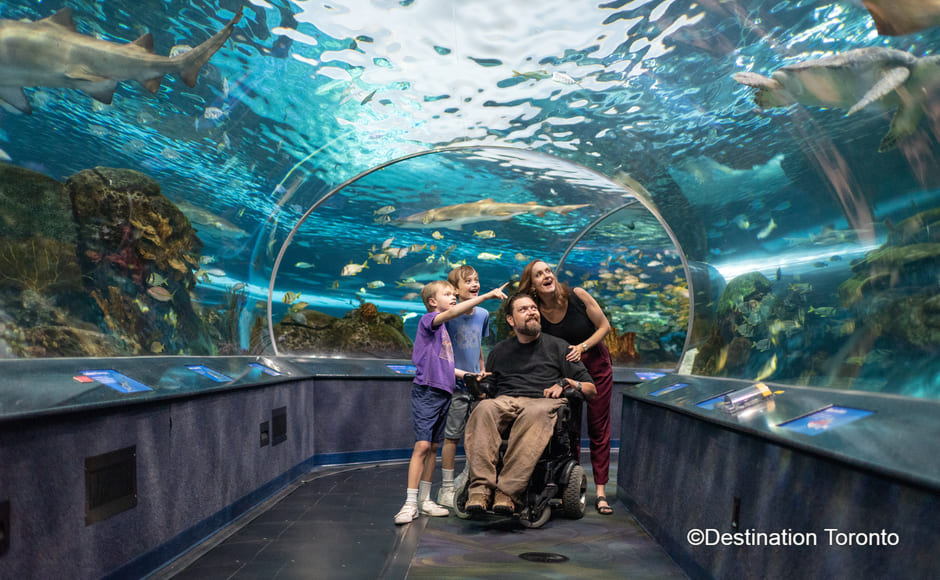 【チケット】リプリーズ水族館入場券