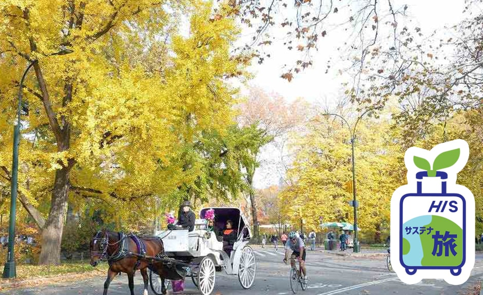 ニューヨークさんぽ　セントラルパークウォーク