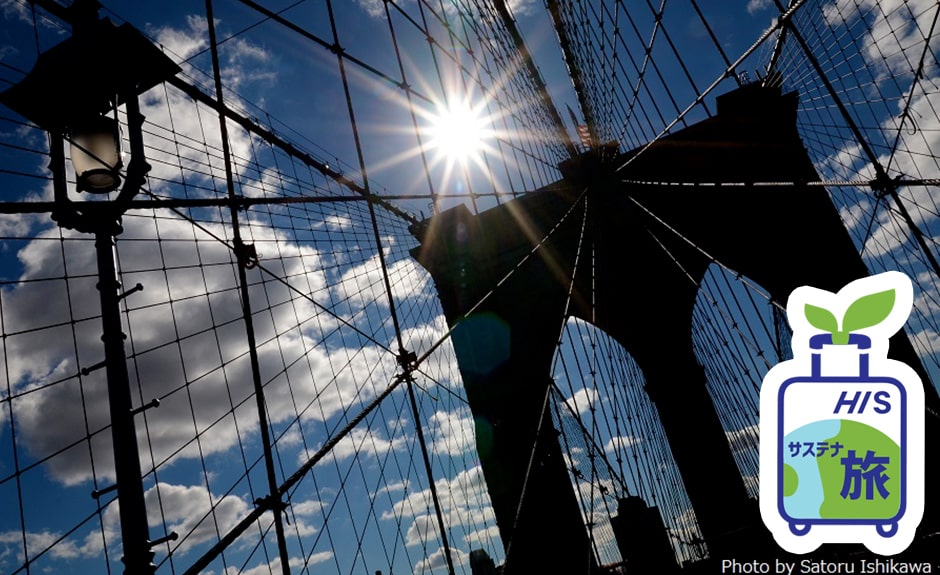 プロカメラマンと行く！ニューヨークのお散歩 ～ブルックリンブリッジを歩いて渡ってダンボ散策～＜日本語ガイド＞ 通常プラン