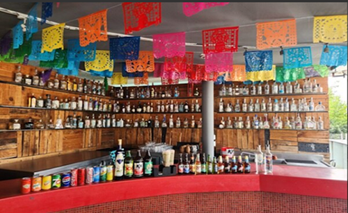 【市内発着プラン】タコス付き♪メキシコ文化を満喫！歴史地区観光＆テキーラ・メスカル博物館