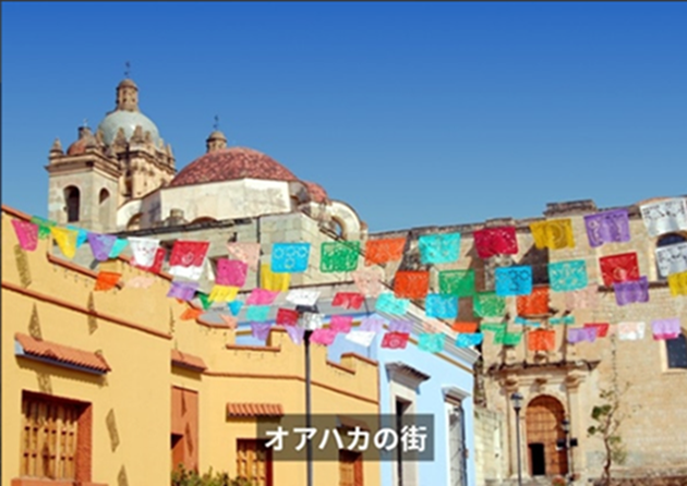 【メキシコシティ発】飛行機で行く、日帰りオアハカ自由行動ツアー!<br>2名様以上参加1名様あたりの料金