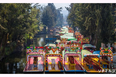 【11月2日限定】『死者の日』特別企画・満足の3か所周遊/聖地ミスキック巡礼＆シウダデラ市場＆ソチミルコ運河トラヒネラ体験